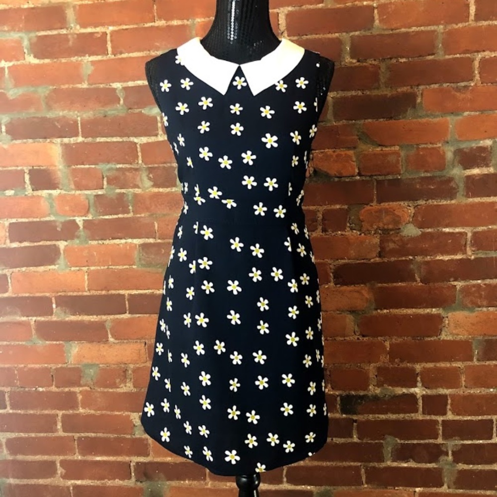 Collared Daisy Dress